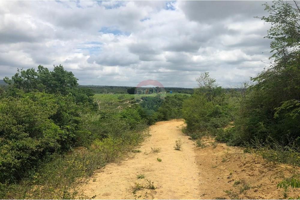 Chácara / Sítio / Fazenda - Venda - Vitória da Conquista , Bahia - WhatsApp Image 2025-05-29 at 14.13.46 (2).jpeg - 580831002-80