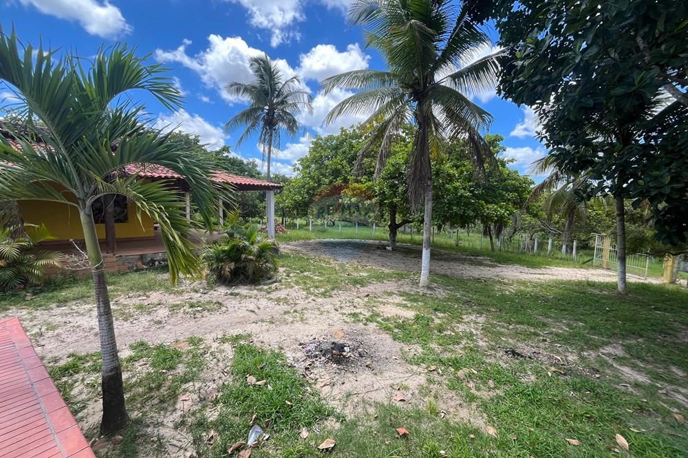 Chácara / Sítio / Fazenda - Alugar - Alagoinhas , Bahia - WhatsApp Image 2026-03-18 at 11.51.13 (1).jpeg - 580701044-78