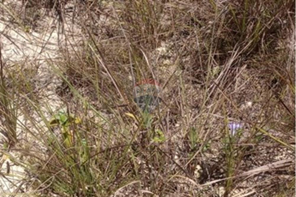 Terreno - Venda - Alagoinhas , Bahia - WhatsApp Image 2025-01-15 at 18.20.07(2).jpeg - 580701006-42