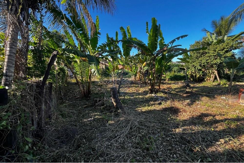 Terreno - Venda - Itamaraju , Bahia - Imagem do WhatsApp de 2025-04-01 à(s) 14.01.44_57166ce5.jpg - 580751013-53