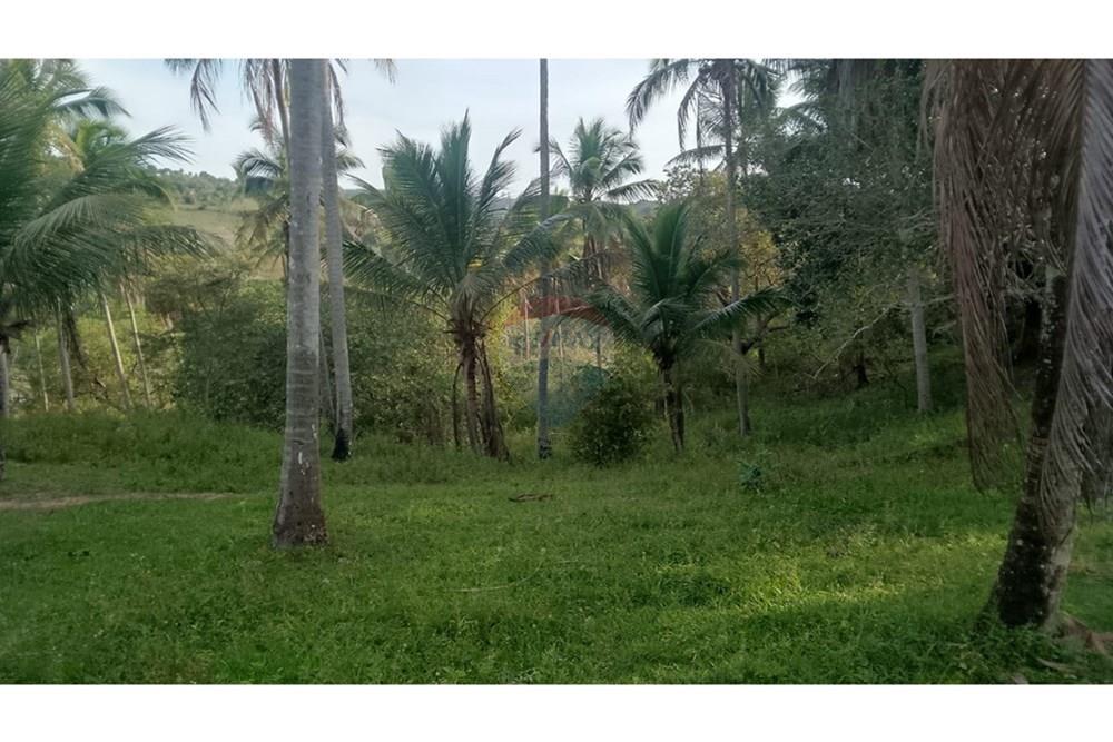 Chácara / Sítio / Fazenda - Venda - Alagoinhas , Bahia - WhatsApp Image 2025-11-09 at 19.24.54 (1).jpeg - 580701044-55