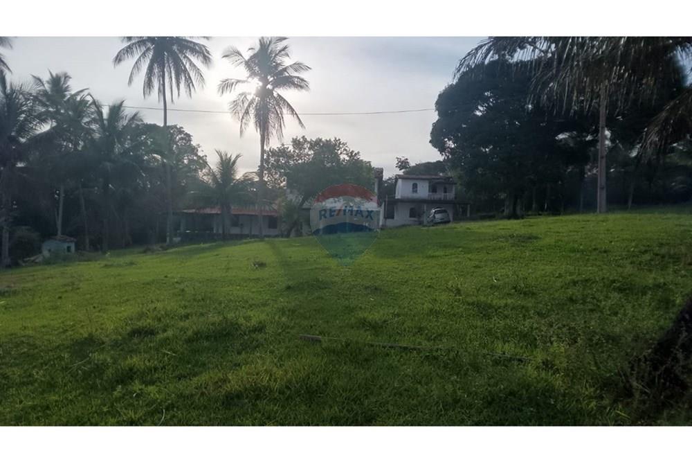 Chácara / Sítio / Fazenda - Venda - Alagoinhas , Bahia - WhatsApp Image 2025-11-09 at 19.24.52 (2).jpeg - 580701044-55