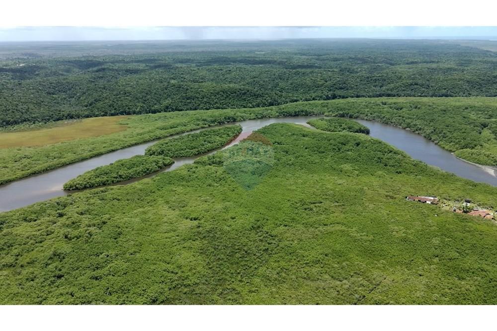 Agro - Venda - Santa Cruz Cabrália , Bahia - IMG-20250309-WA0022.jpg - 580581034-56