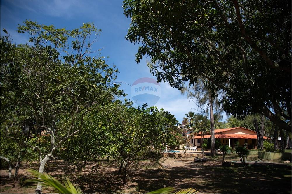 Chácara / Sítio / Fazenda - Venda - Camaçari , Bahia - MSF_0740.JPG - 580541064-147