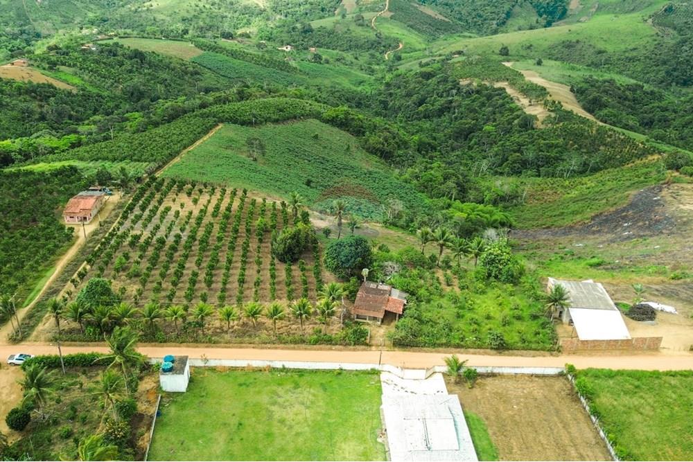 Chácara / Sítio / Fazenda - Venda - Santo Antônio de Jesus , Bahia - DJI_0655.jpg - 580341015-102