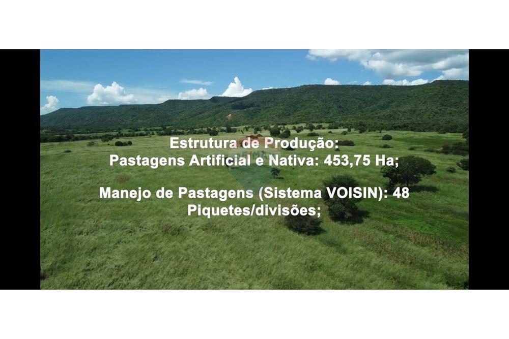 Fazenda - Venda - Wanderley , Bahia - WhatsApp Image 2026-03-24 at 17.30.00 (2).jpeg - 580791016-28