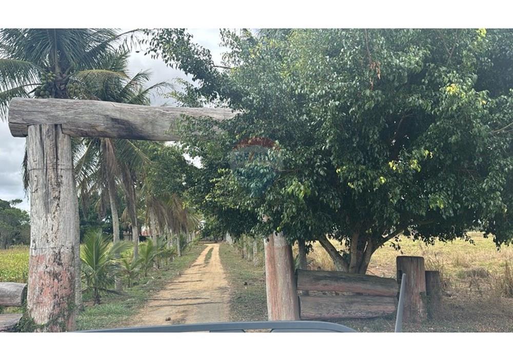 Chácara / Sítio / Fazenda - Venda - Medeiros Neto , Bahia - fazenda 3.jpg - 580581012-93