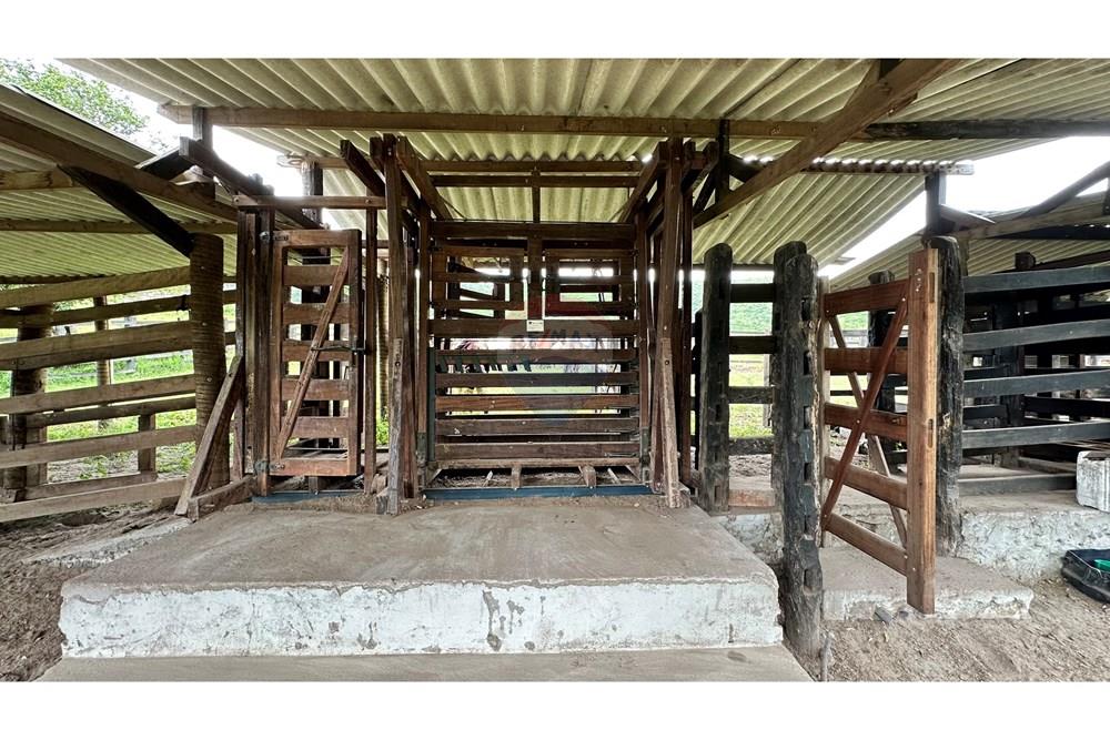 Chácara / Sítio / Fazenda - Venda - Jequié , Bahia - image00012.jpeg - 580731023-47