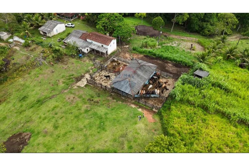 Fazenda - Venda - Itamaraju , Bahia - IMG_7949.jpg - 580751013-75