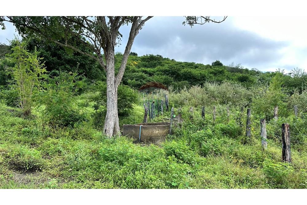 Chácara / Sítio / Fazenda - Venda - Jequié , Bahia - image00019.jpeg - 580731023-47