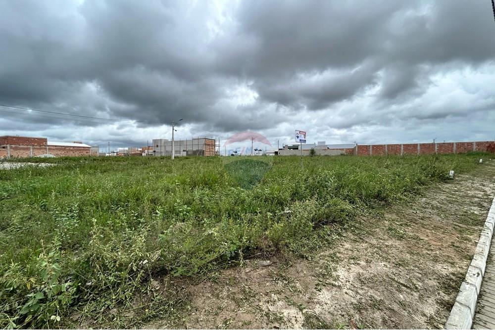 Terreno - Venda - Teixeira de Freitas , Bahia - WhatsApp Image 2025-04-23 at 08.38.08 (1).jpeg - 580411003-270