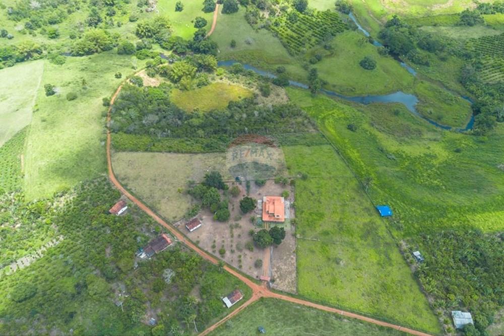 Chácara / Sítio / Fazenda - Venda - Santo Antônio de Jesus , Bahia - DJI_0631.jpg - 580341015-101