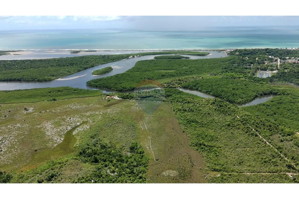 Agro - Venda - Santa Cruz Cabrália , Bahia - IMG-20250309-WA0013.jpg - 580581034-56