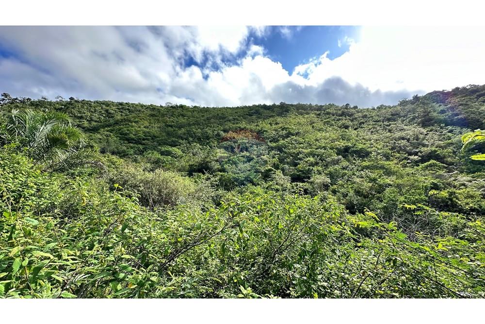 Chácara / Sítio / Fazenda - Venda - Jequié , Bahia - image00035.jpeg - 580731023-47