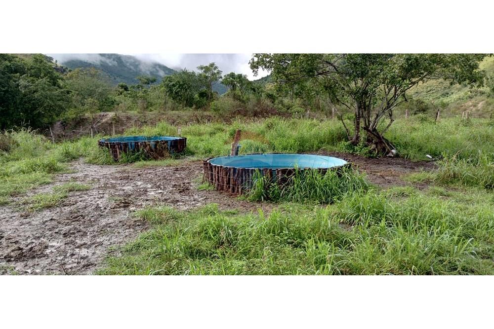 Chácara / Sítio / Fazenda - Venda - Jequié , Bahia - IMG-20240614-WA0279.jpg - 580731023-47