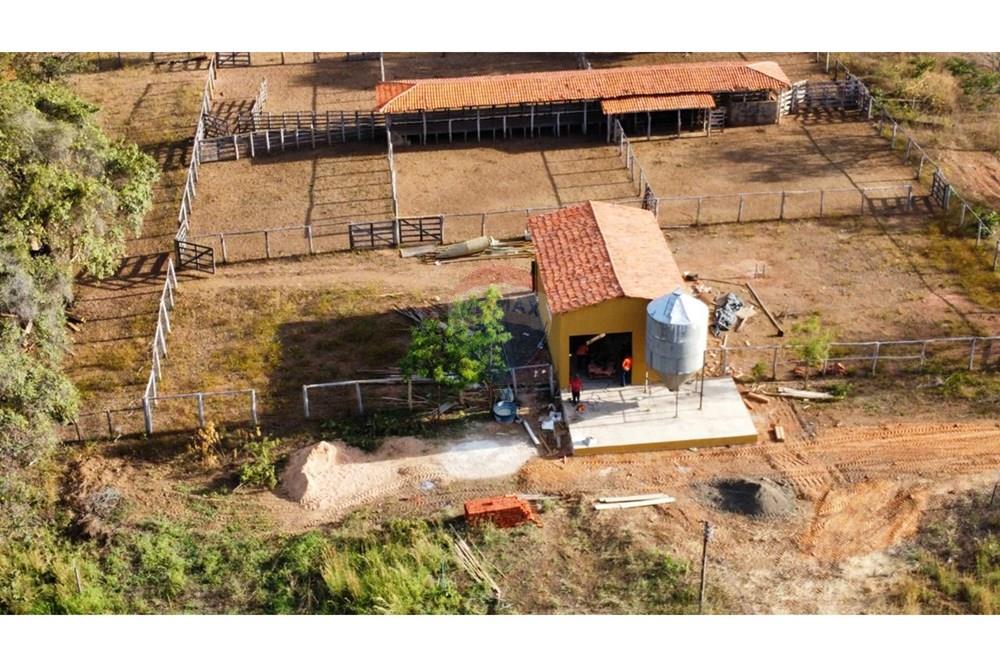 Fazenda - Venda - Aroazes , Piauí - Imagem do WhatsApp de 2025-09-30 à(s) 12.15.55_461928dd.jpg - 580791016-19