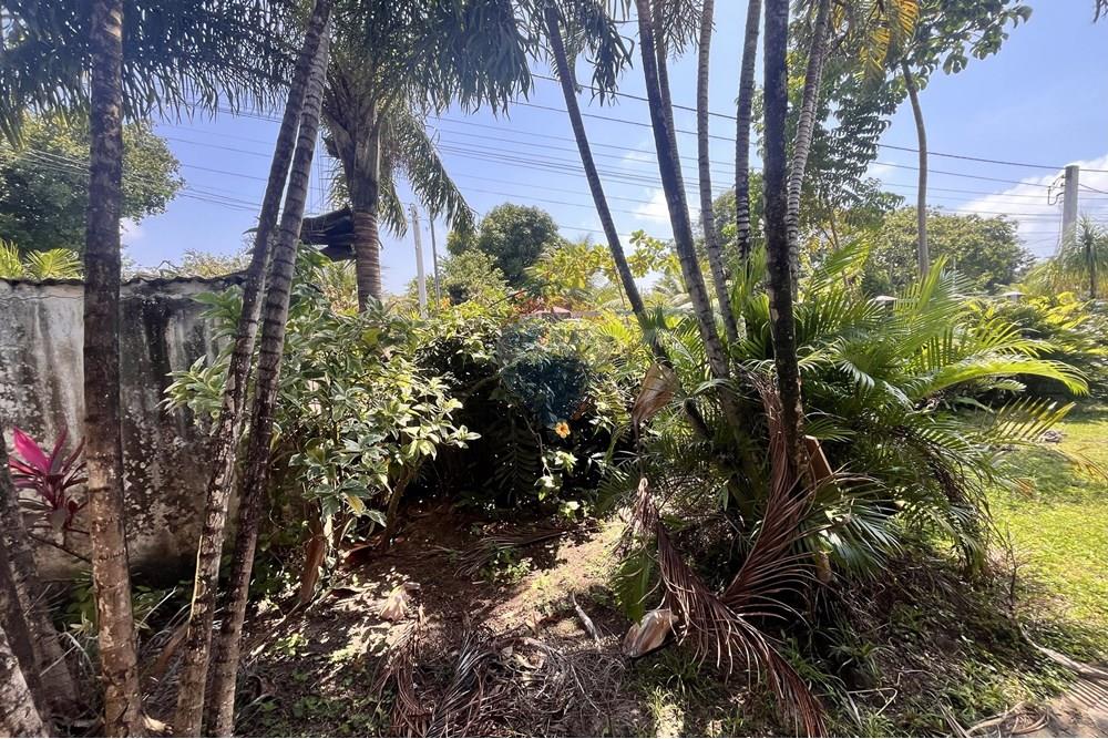 Casa - Venda - Entre Rios , Bahia - IMG_3016.jpg - 580491009-103