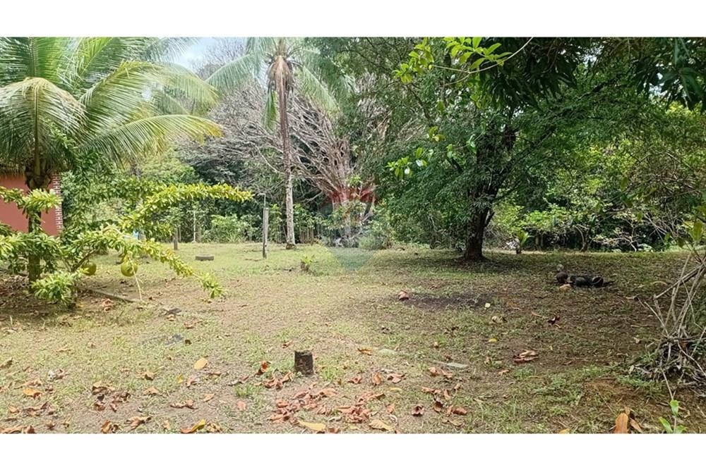 Chácara / Sítio / Fazenda - Alugar - Camaçari , Bahia - WhatsApp Image 2025-10-15 at 14.32.00.jpeg - 580331013-753