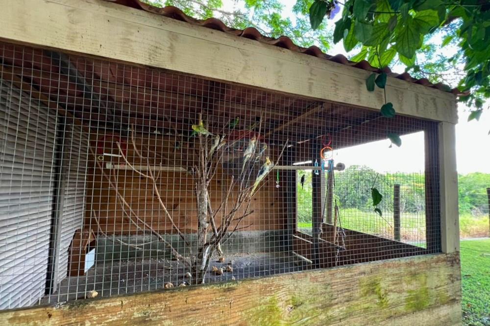 Chácara / Sítio / Fazenda - Venda - Alcobaça , Bahia - 21.jpg - 580631041-51