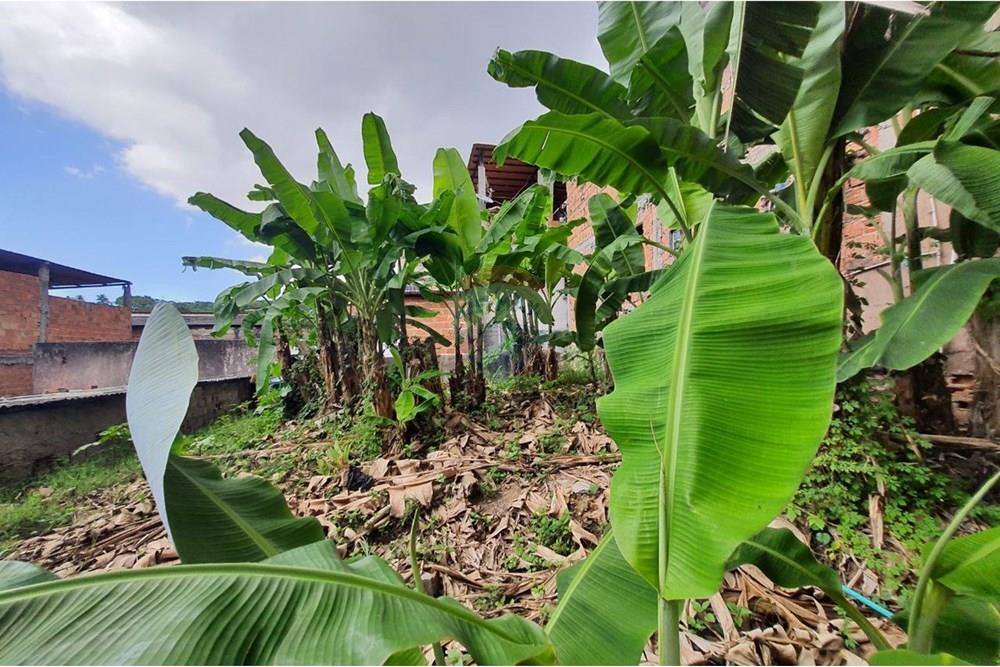 Ponto Comercial/ Loja - Alugar - Salvador , Bahia - 16.jpg - 580551059-96