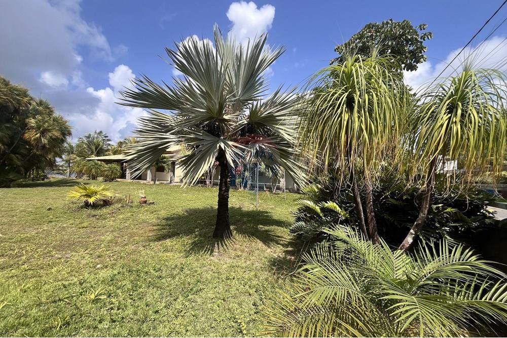 Casa - Venda - Entre Rios , Bahia - IMG_2995.jpg - 580491009-103