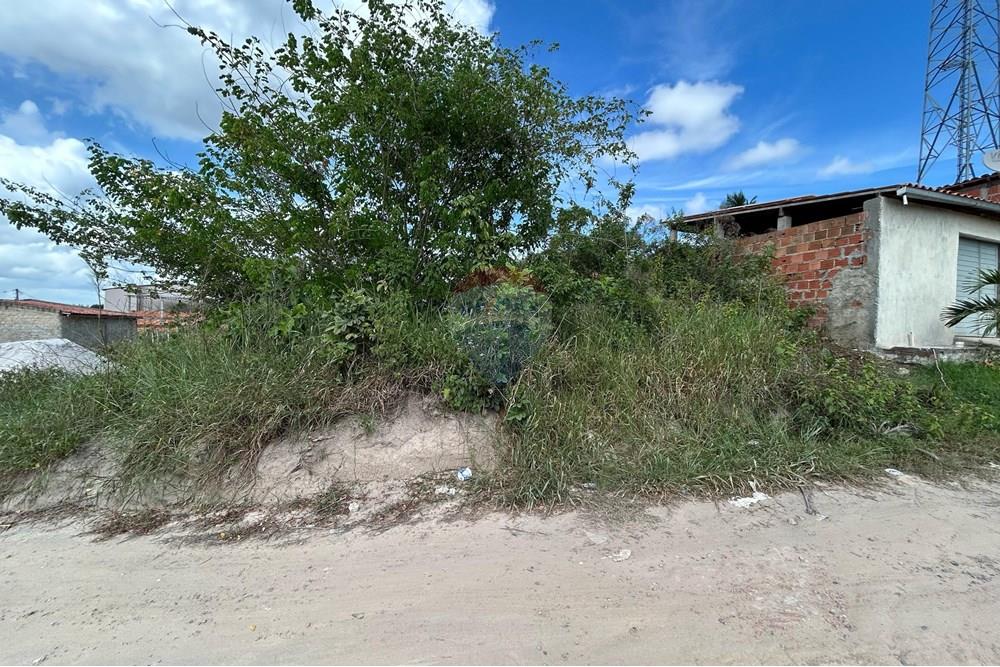 Terreno - Venda - Alagoinhas , Bahia - WhatsApp Image 2025-02-17 at 15.17.11(1).jpeg - 580701006-43