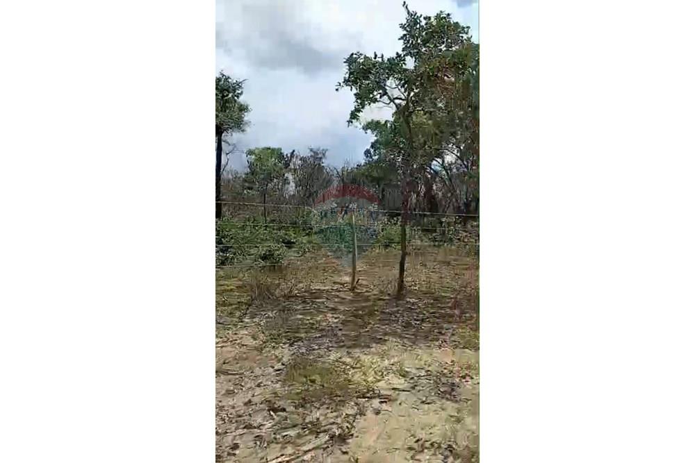 Fazenda - Venda - São Desidério , Bahia - WhatsApp Image 2026-01-26 at 21.36.57.jpeg - 580861009-34