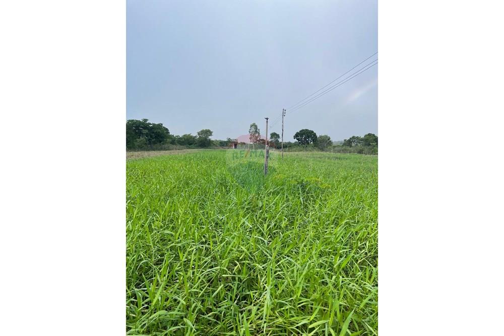 Fazenda - Venda - Aroazes , Piauí - Imagem do WhatsApp de 2025-09-30 à(s) 12.20.19_06c02b93.jpg - 580791016-19