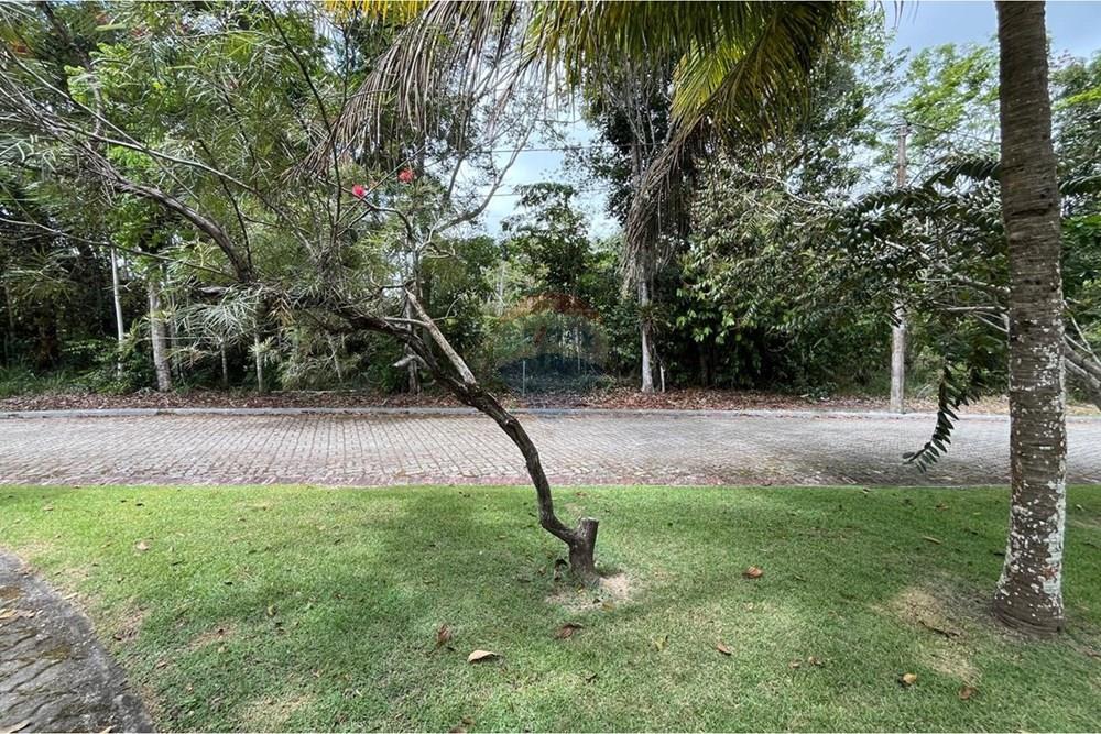 Terreno - Venda - Porto Seguro , Bahia - WhatsApp Image 2026-01-10 at 18.25.01 (3).jpeg - 580581012-107