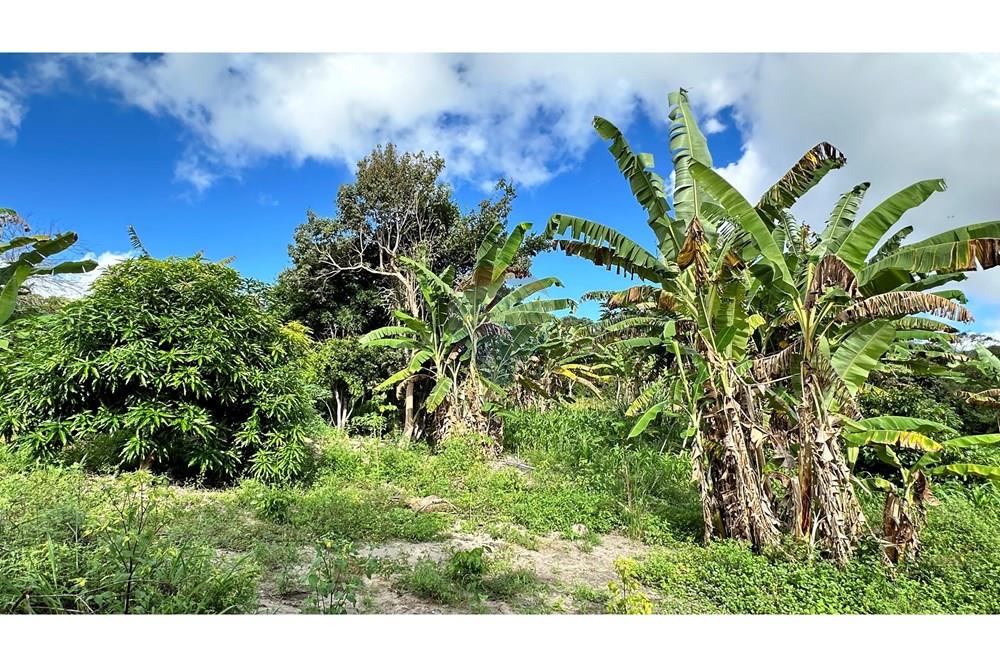 Chácara / Sítio / Fazenda - Venda - Jequié , Bahia - image00042.jpeg - 580731023-59