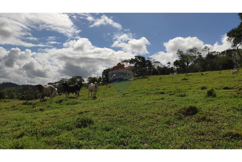 Chácara / Sítio / Fazenda - Venda - Jequié , Bahia - 36.jpg - 580731023-74