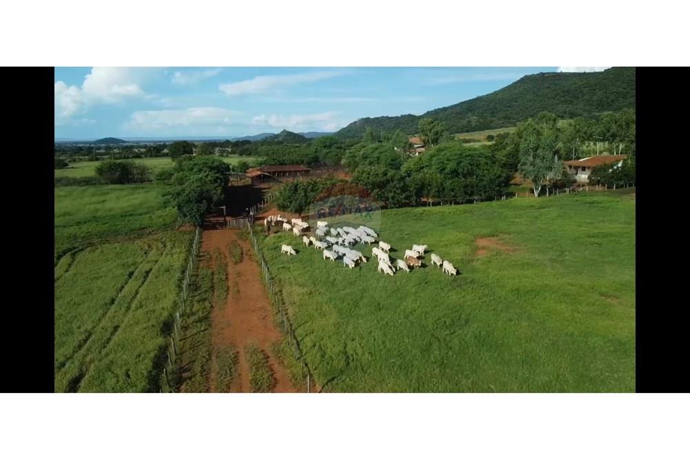 Fazenda - Venda - Wanderley , Bahia - WhatsApp Image 2026-03-24 at 17.30.03 (2).jpeg - 580791016-28