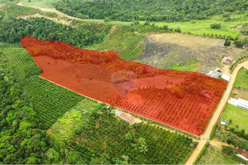 Chácara / Sítio / Fazenda - Venda - Santo Antônio de Jesus , Bahia - DJI_0109.jpg - 580341015-102