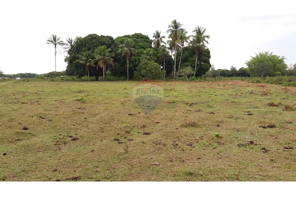 Chácara / Sítio / Fazenda - Venda - Caravelas , Bahia - WhatsApp Image 2025-07-11 at 09.20.07.jpeg - 580411006-269