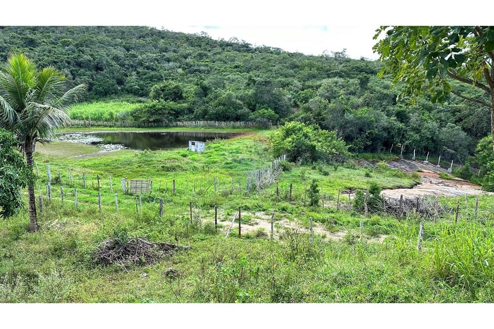 Chácara / Sítio / Fazenda - Venda - Jequié , Bahia - image00023-4.jpeg - 580731023-59
