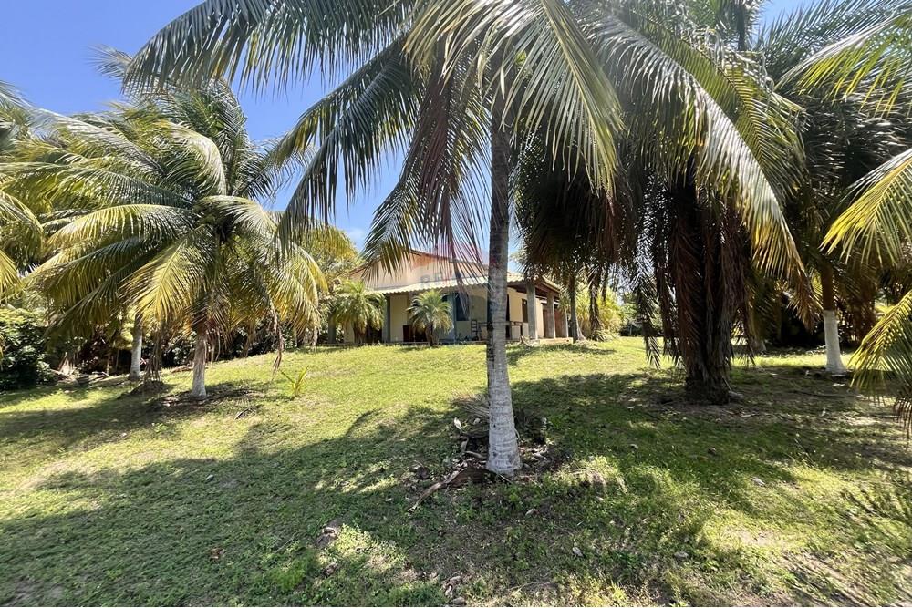 Casa - Venda - Entre Rios , Bahia - IMG_3019.jpg - 580491009-103