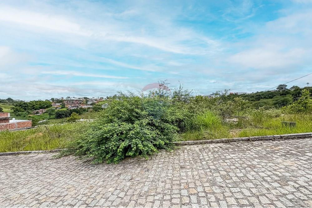 Terreno - Venda - Santo Antônio de Jesus , Bahia - IMG_4261.jpg - 580341038-11