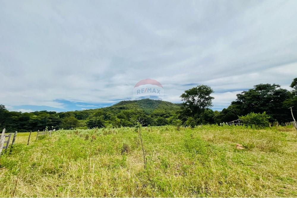Chácara / Sítio / Fazenda - Venda - Barreiras , Bahia - WhatsApp Image 2025-03-11 at 17.53.51.jpeg - 580651065-24
