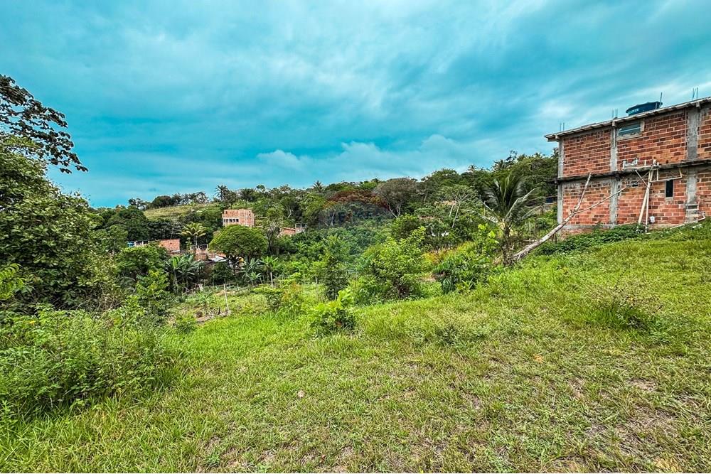 Terreno - Venda - Cairu , Bahia - IMG_2654.jpg - 580341015-105