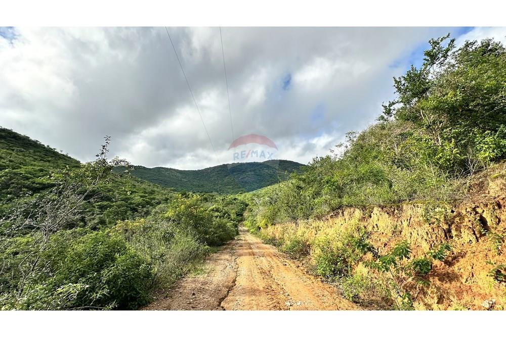 Chácara / Sítio / Fazenda - Venda - Jequié , Bahia - image00029.jpeg - 580731023-47