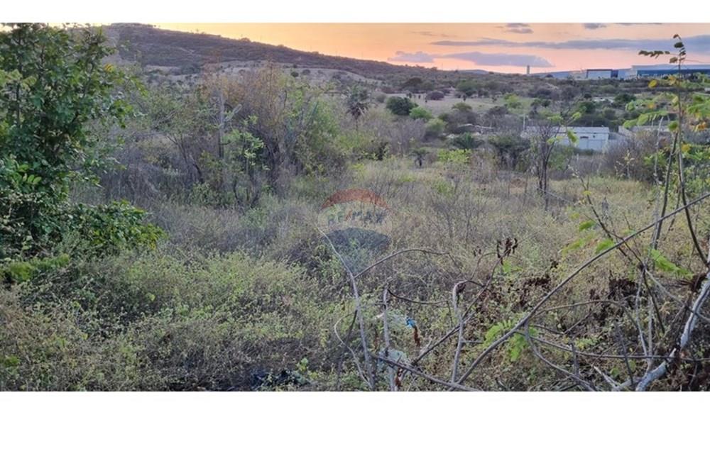 Terreno - Venda - Jacobina , Bahia - WhatsApp Image 2025-09-11 at 15.43.47 (2).jpeg - 580851018-64