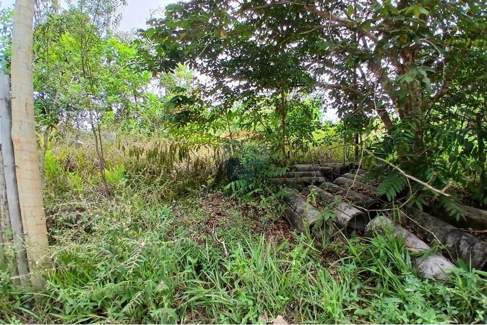 Terreno - Venda - Porto Seguro , Bahia - WhatsApp Image 2025-11-19 at 16.15.06.jpeg - 580581006-79