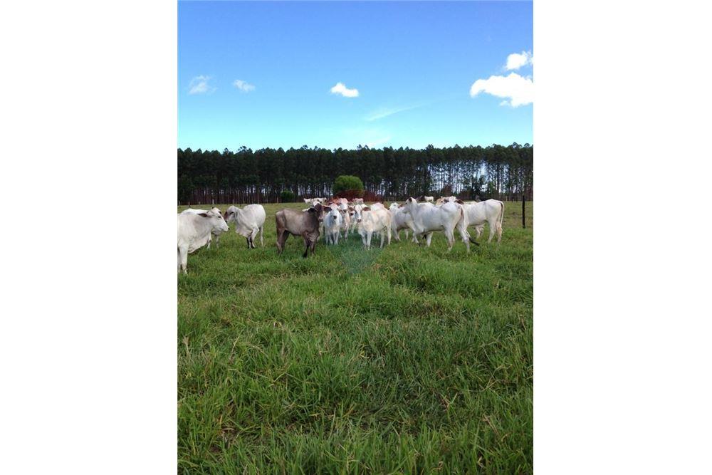 Chácara / Sítio / Fazenda - Venda - Mucuri , Bahia - 1 - 580411006-263