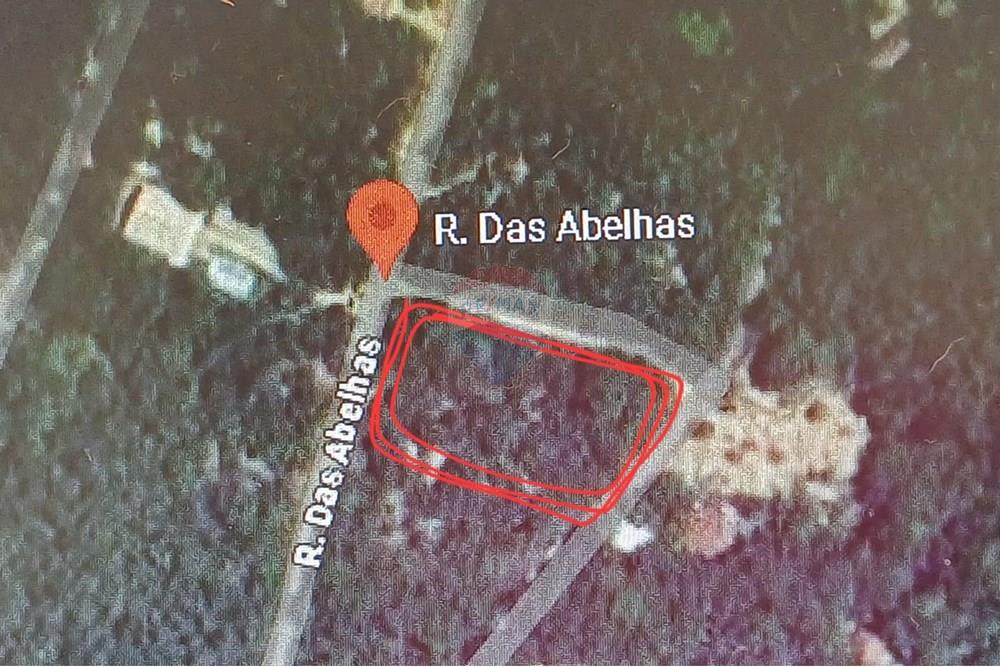 Terreno - Venda - Porto Seguro , Bahia - WhatsApp Image 2024-12-05 at 17.14.31.jpeg - 580581006-62