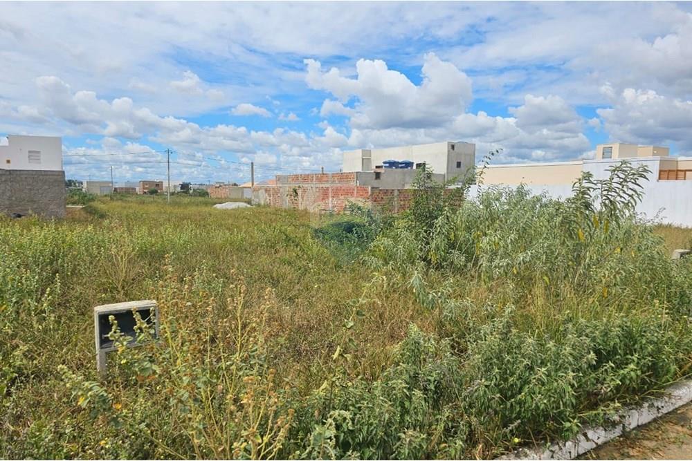 Terreno - Venda - Vitória da Conquista , Bahia - IMAGEM TERRENO 03.jpg - 580831034-20