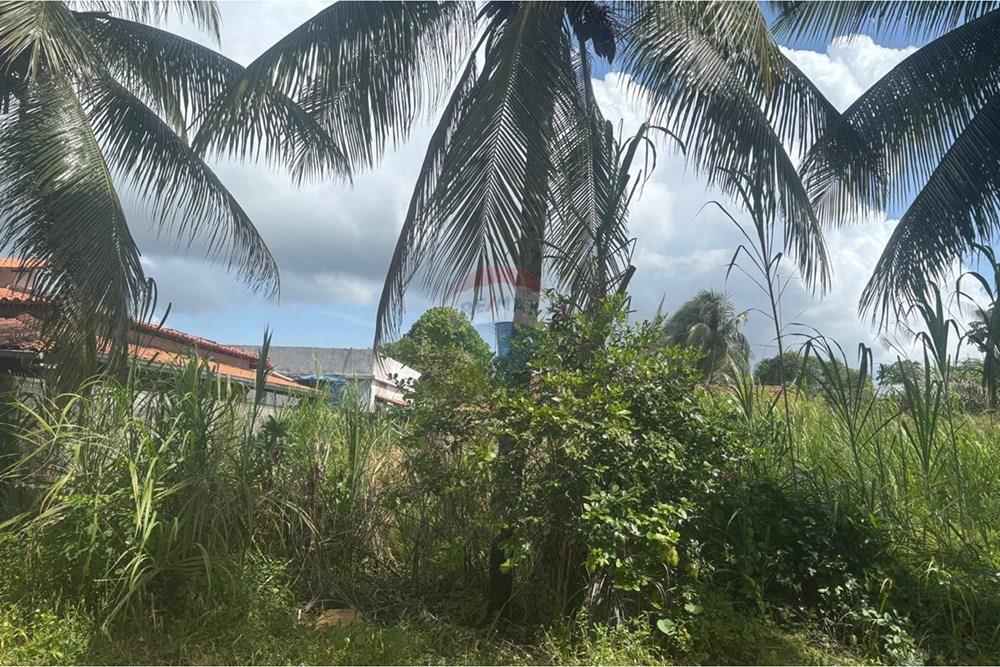 Terreno - Venda - Vera Cruz , Bahia - WhatsApp Image 2026-02-26 at 12.31.24(1).jpeg - 580551067-117