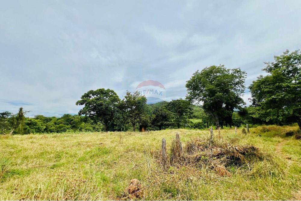 Chácara / Sítio / Fazenda - Venda - Barreiras , Bahia - WhatsApp Image 2025-03-11 at 17.53.47.jpeg - 580651065-24