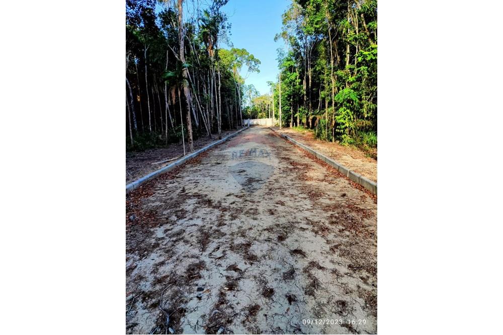 Terreno - Venda - Porto Seguro , Bahia - IMG-20251123-WA0069.jpg - 580581018-54