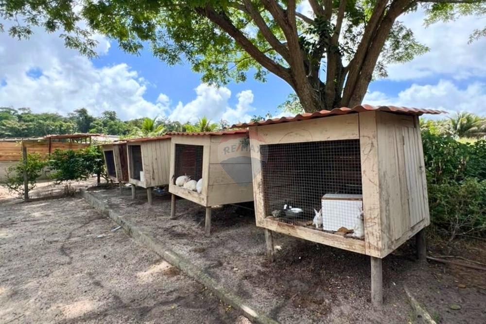 Chácara / Sítio / Fazenda - Venda - Alcobaça , Bahia - 20.jpg - 580631041-51