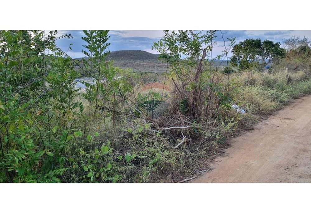 Terreno - Venda - Jacobina , Bahia - WhatsApp Image 2025-09-11 at 15.42.49.jpeg - 580851018-64